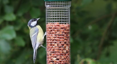 Wire Mesh & Peanut Bird Feeders