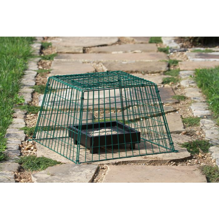Bird Feeder Ground Guard Buy Online at Vine House Farm