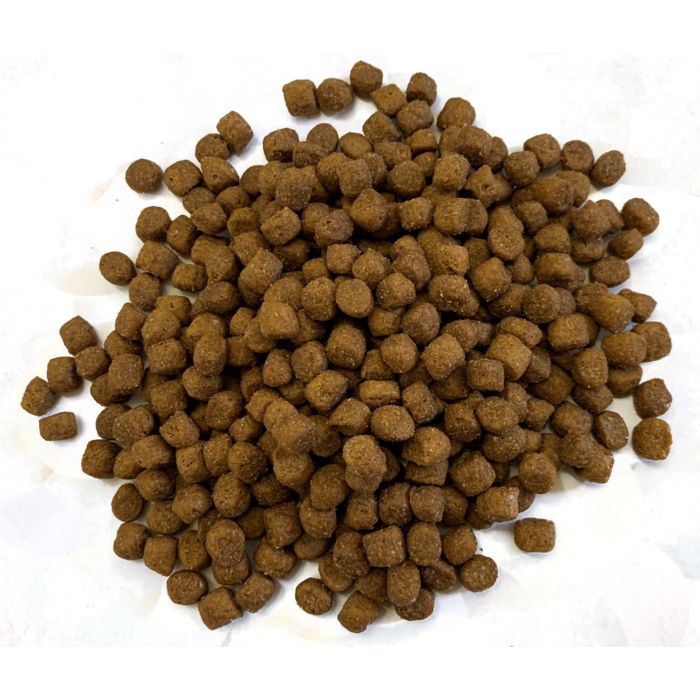 Cat biscuits for hedgehogs online