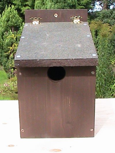 Starling Wooden Nest Box