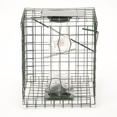 Caged Feeders