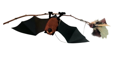 Bat Making Workshop 27th October