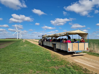 Childrens Tractor & Trailer Ride