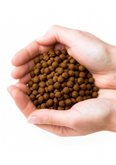 Hedgehog Food
