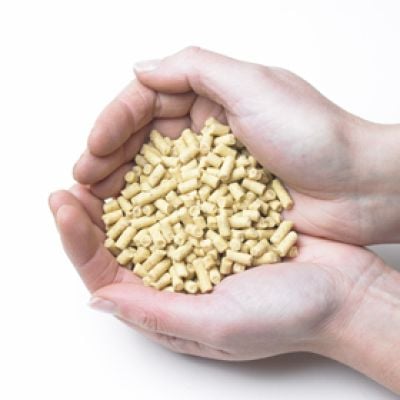 Suet Pellets - Insect Flavour