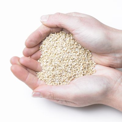 Pinhead Oats-13Kg