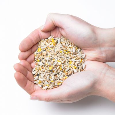 Premium Mix Bird Seed 