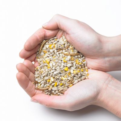 Ultimate Energy Mix with Mealworms