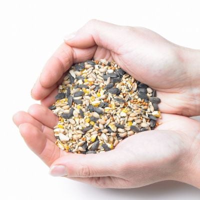 Mixed Bird Seed