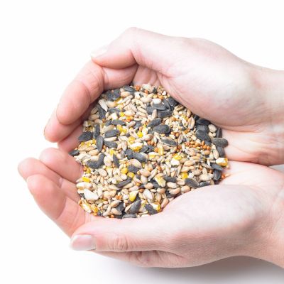 Mixed Seed-13Kg
