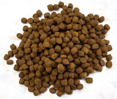 Hedgehog Food