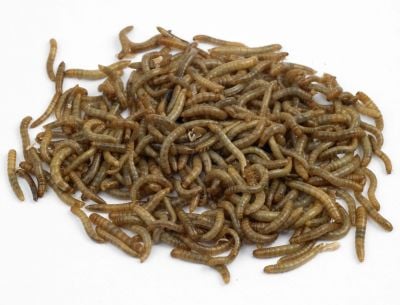 Live Mealworms-2 x 60g tub