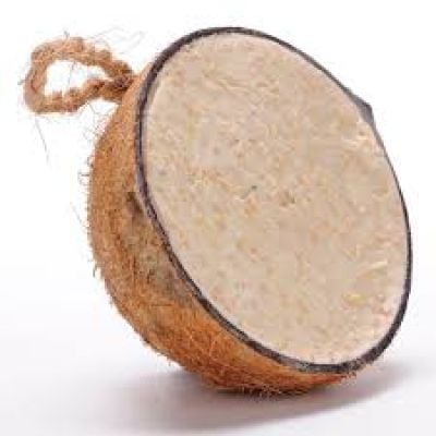 Coconut Halves