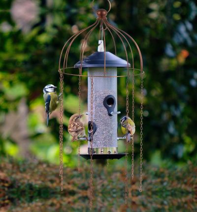 Medusa Bird Feeder Defender