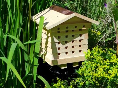 Solitary Bee Hive