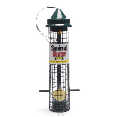 Squirrel Buster Finch Niger Seed Bird Feeder