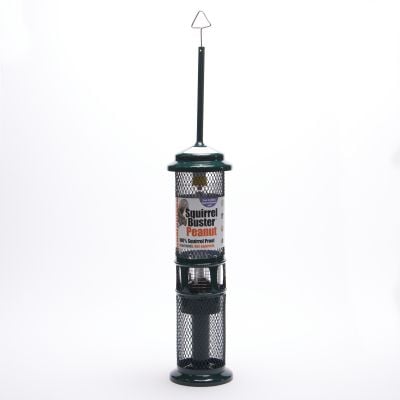 Squirrel Buster Peanut Bird Feeder