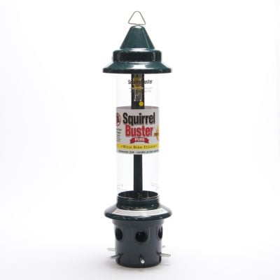 Squirrel Buster Plus Bird Seed Feeder