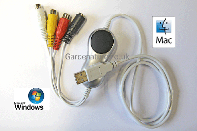 Video-USB Grabber PC MAC for Camera System