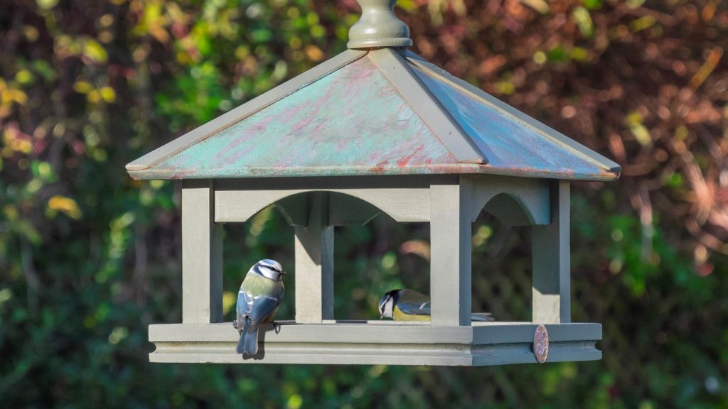 Deluxe Wooden Hanging Bird Box & Feeder Small Garden Birds Nesting House HOTEL3 