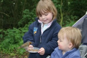 Why do we feed wild birds?